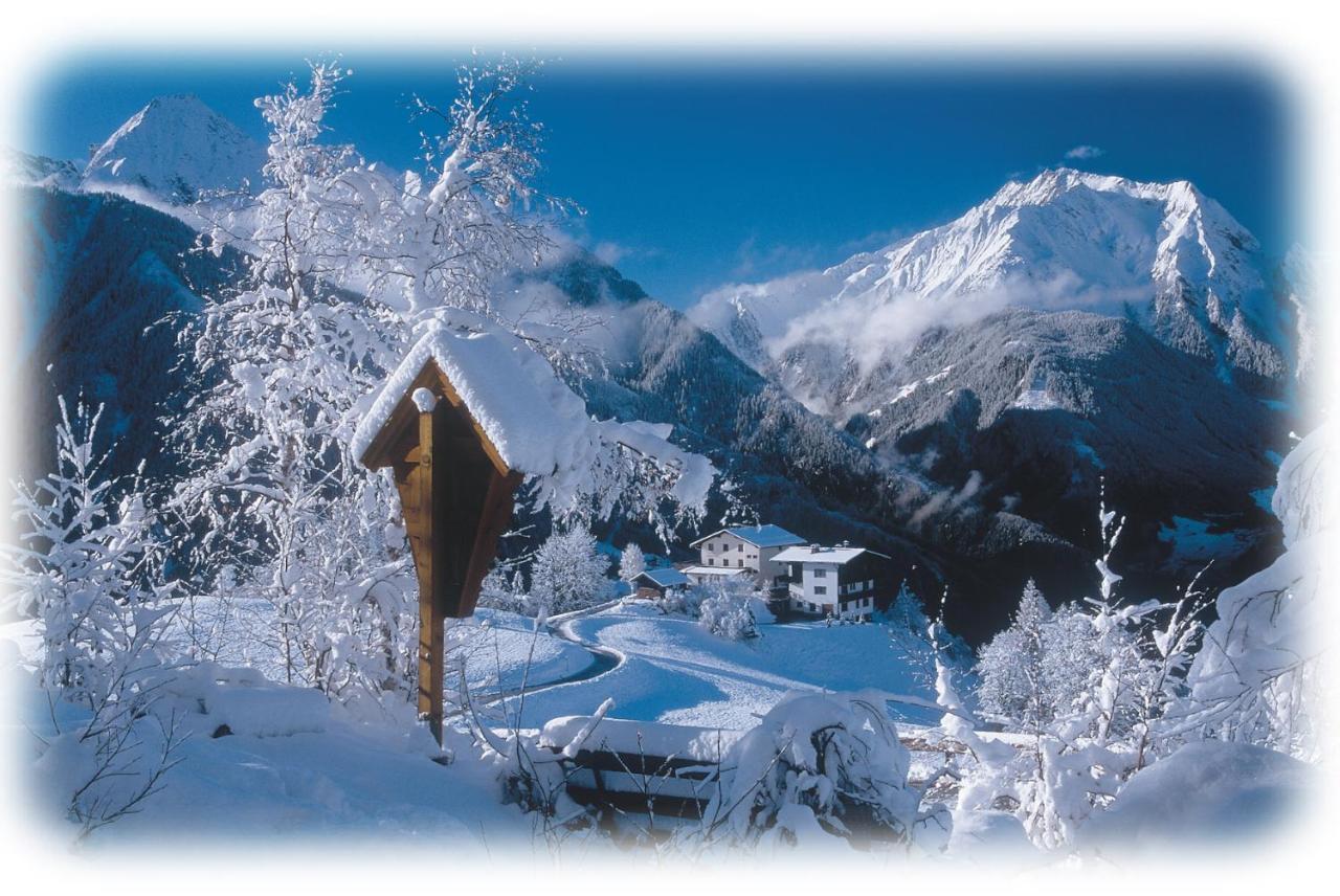 Ferienwohnungen Kroll - Appartements Viktoria Und Landhaus Maria Mayrhofen Exterior foto